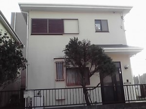 11-11-14_005.jpg