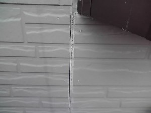 11-11-18_007_2.jpg
