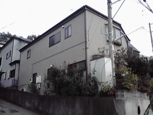 11-11-18_008_2.jpg