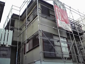 11-11-20_004.jpg
