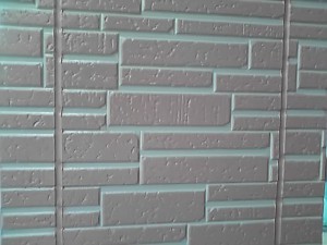 12-01-28_004_2.jpg
