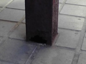 12-01-31_008.jpg