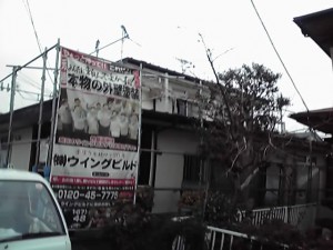 12-03-04_008.jpg