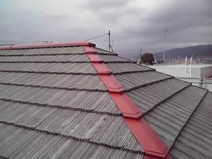 12-03-11_004_2.jpg