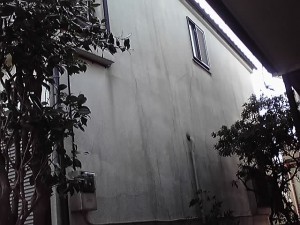 12-03-20_003_2.jpg