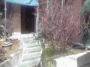 12-03-20_004.jpg