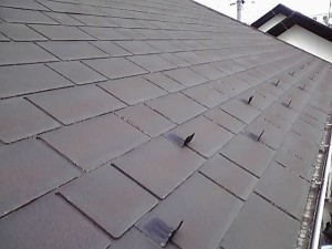 12-03-25_002_2.jpg