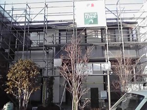 12-03-27_007_2.jpg