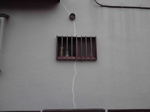 現調、現場回り、回収、色板見本提出、見積り作成。