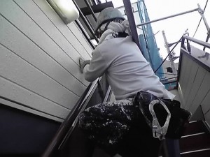 終盤です