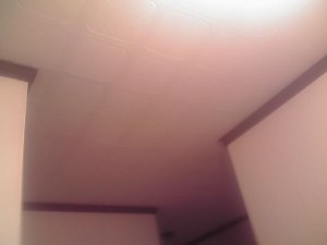 12-03-31_008.jpg