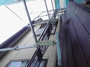 12-04-09_006_2.jpg