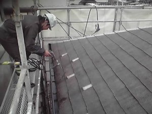 この風はホントに…