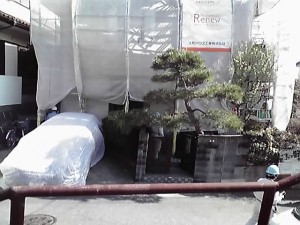 12-04-12_003.jpg