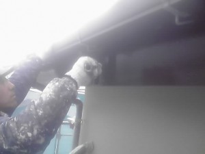 12-04-15_007.jpg