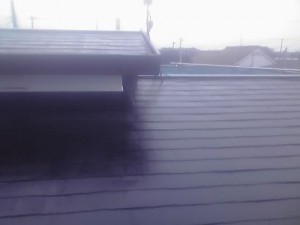 12-04-24_004.jpg