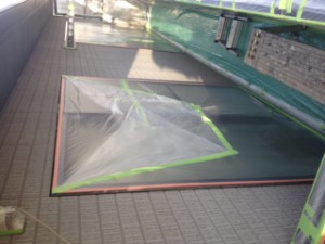 養生