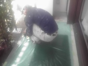養生