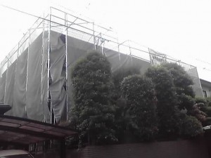 12-06-01_010.jpg