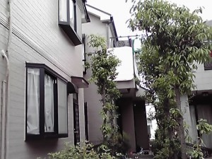 12-06-02_003.jpg
