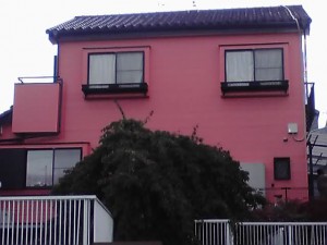 12-06-06_003_3.jpg