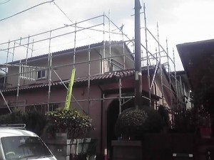 12-06-07_003_2.jpg