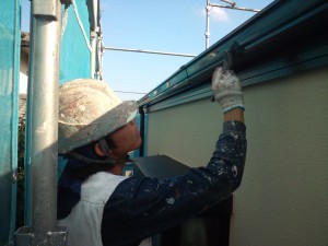 DSC_0461.jpg
