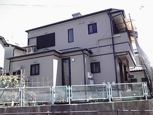 12-07-10_003.jpg