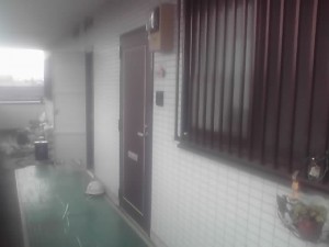 新商品研修