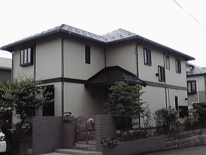 12-07-20_001.jpg