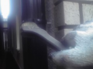 12-07-30_004.jpg