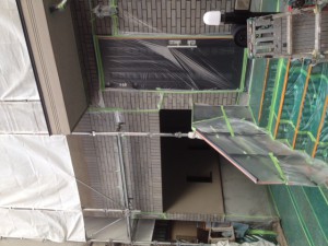 夏がきました。