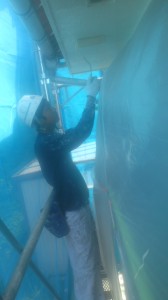 かんかん照り