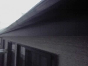 12-09-25_005.jpg