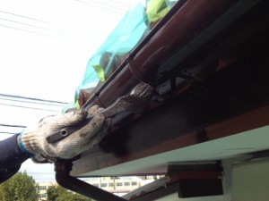 秋を感じましたね