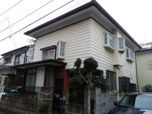 IMGP6916.JPG