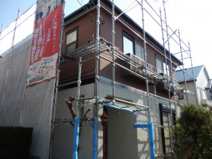 IMGP7002.JPG