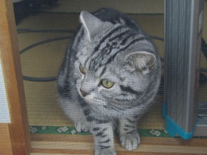 IMGP7075.JPG