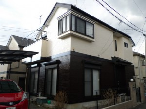 IMGP7097.JPG