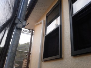 DSC_1564.JPG