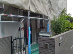 IMG_20180528_172205.jpg