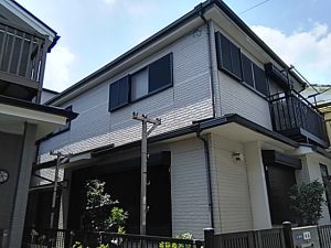 IMG_20180801_115156.jpg
