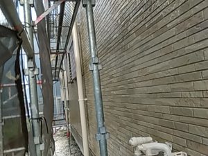 IMG_20180816_164113.jpg