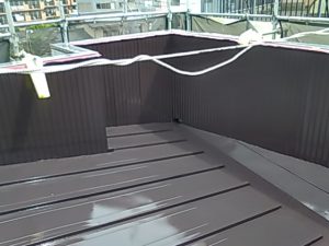 IMG_20180912_104829.jpg