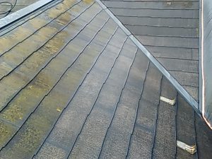IMG_20181003_095348.jpg