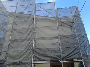 IMG_20181101_084208_2.jpg