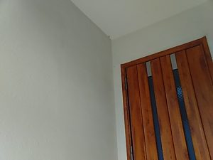 IMG_20181101_084225.jpg