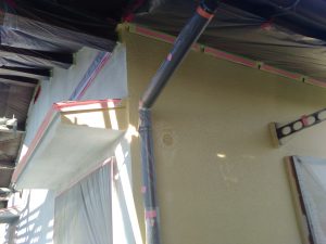 IMG_20181101_150001.jpg