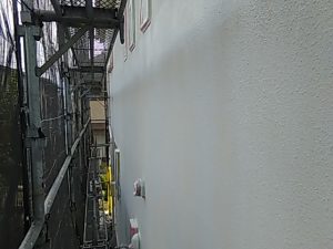 IMG_20181103_113030.jpg