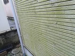 IMG_20181106_130825.jpg